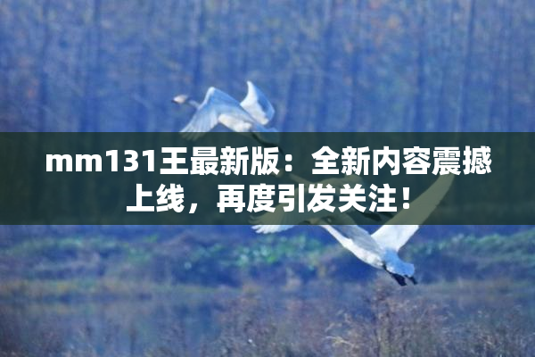mm131王最新版：全新内容震撼上线，再度引发关注！