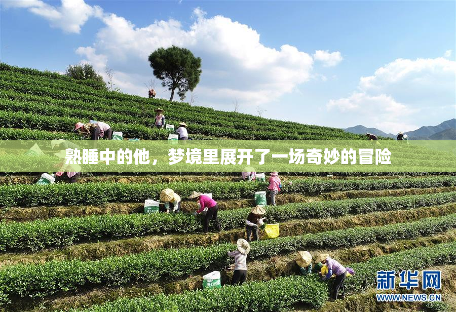 熟睡中的他，梦境里展开了一场奇妙的冒险