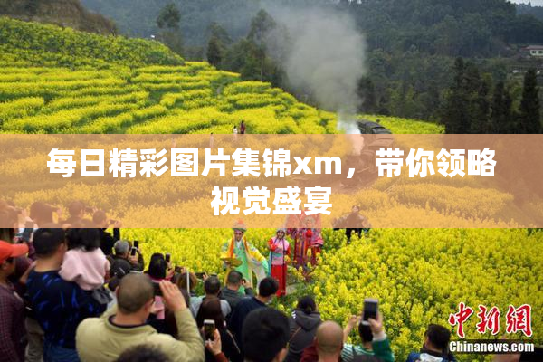 每日精彩图片集锦xm，带你领略视觉盛宴