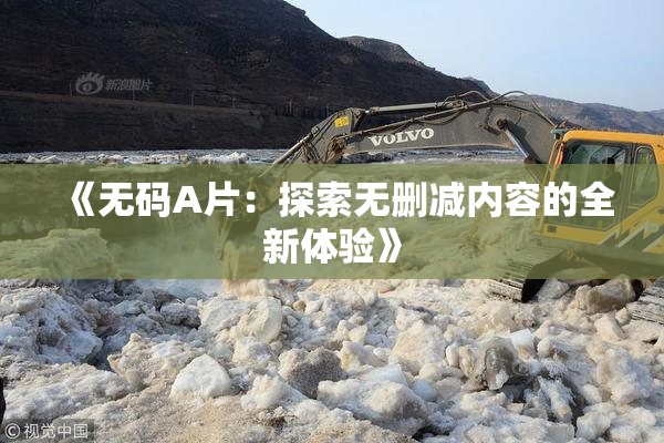 《无码A片：探索无删减内容的全新体验》