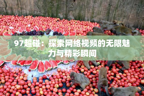 97超碰：探索网络视频的无限魅力与精彩瞬间
