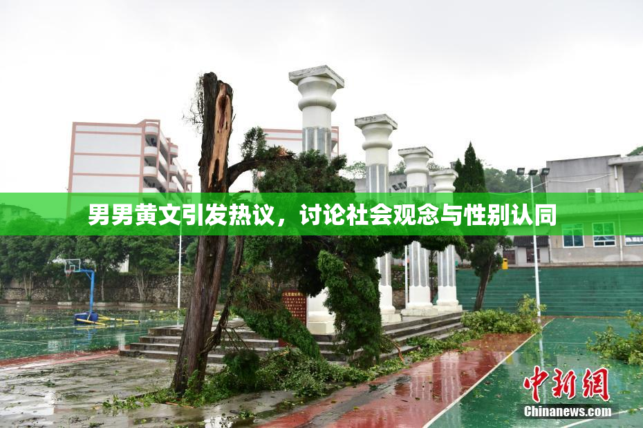男男黄文引发热议，讨论社会观念与性别认同