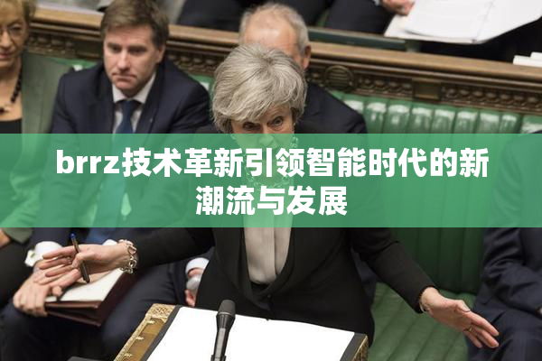 brrz技术革新引领智能时代的新潮流与发展