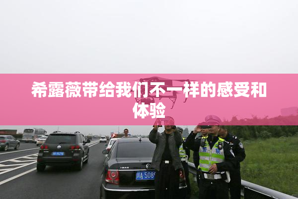 希露薇带给我们不一样的感受和体验
