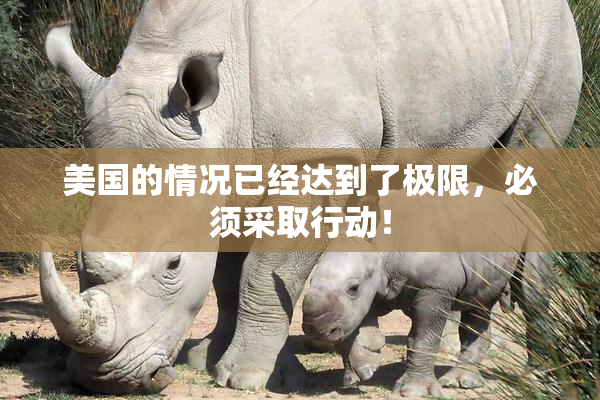美国的情况已经达到了极限，必须采取行动！