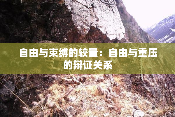 自由与束缚的较量：自由与重压的辩证关系