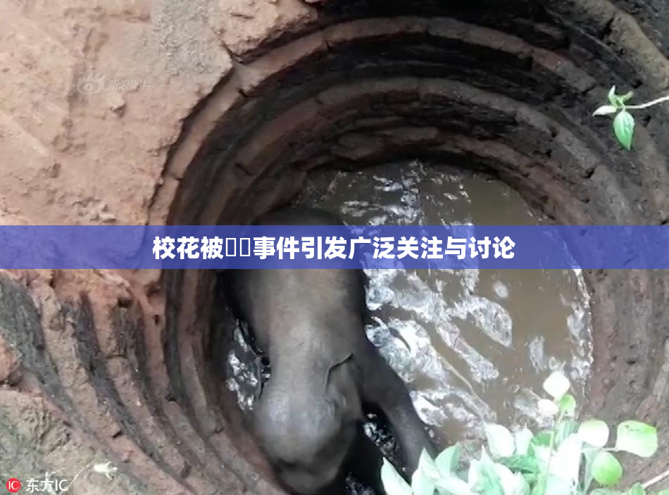 校花被❌‌事件引发广泛关注与讨论