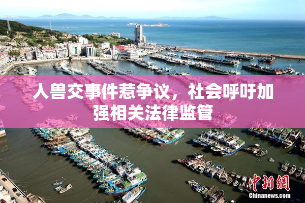 人兽交事件惹争议，社会呼吁加强相关法律监管