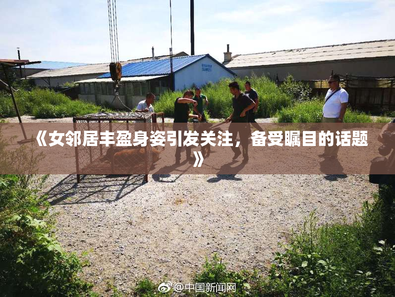 《女邻居丰盈身姿引发关注，备受瞩目的话题》