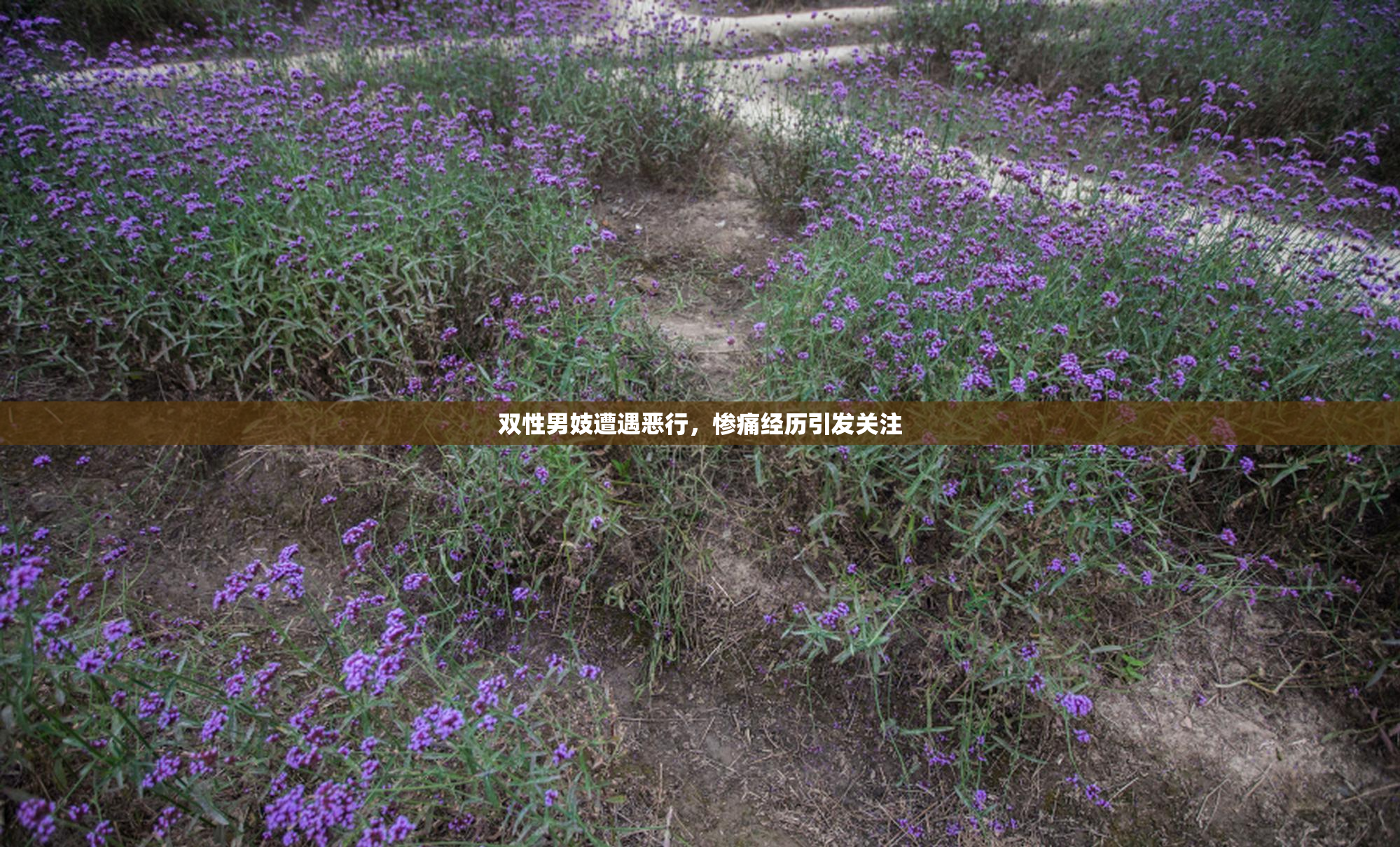 双性男妓遭遇恶行，惨痛经历引发关注