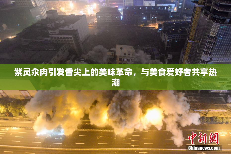 紫灵汆肉引发舌尖上的美味革命，与美食爱好者共享热潮