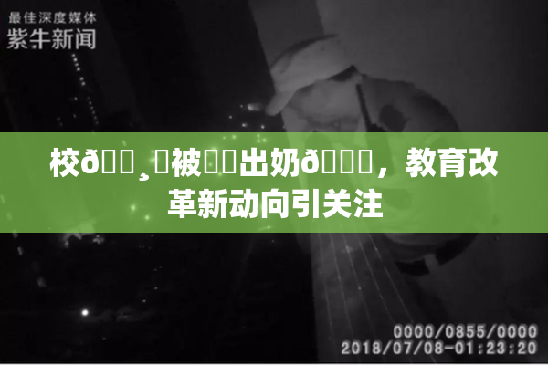校🌸‌被❌‌出奶🔞，教育改革新动向引关注