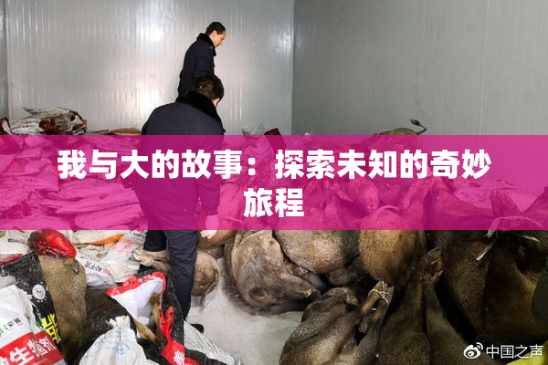 我与大的故事：探索未知的奇妙旅程