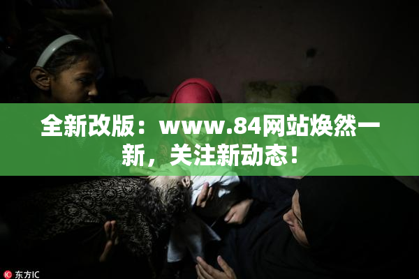 全新改版：www.84网站焕然一新，关注新动态！