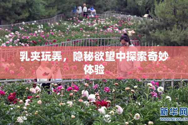 乳夹玩弄，隐秘欲望中探索奇妙体验