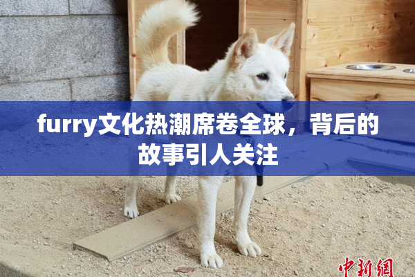furry文化热潮席卷全球，背后的故事引人关注