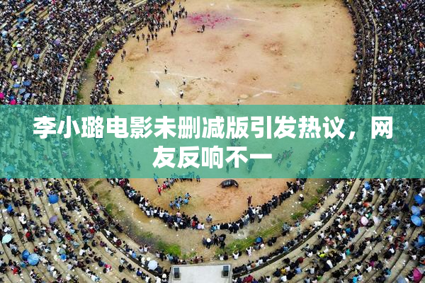 李小璐电影未删减版引发热议，网友反响不一
