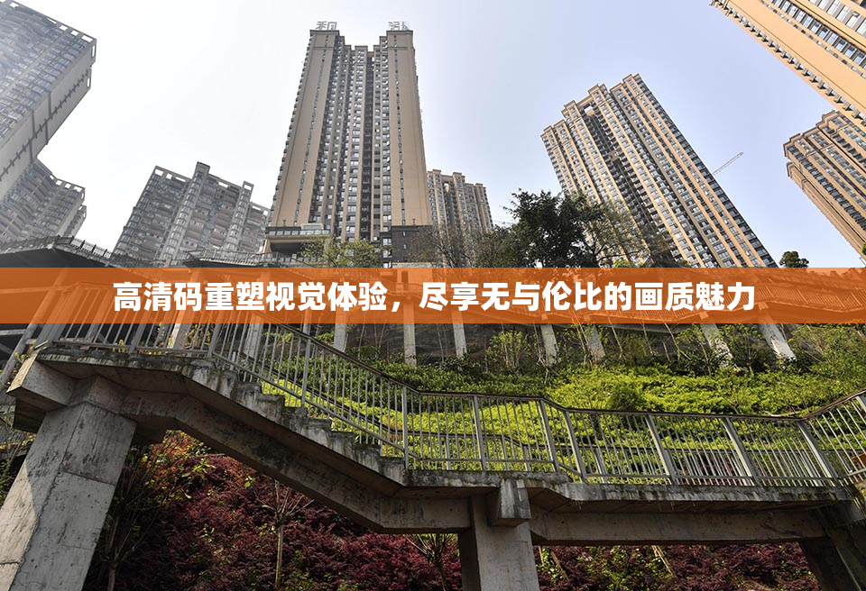 高清码重塑视觉体验，尽享无与伦比的画质魅力