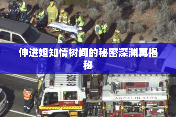 伸进妲知情树间的秘密深渊再揭秘