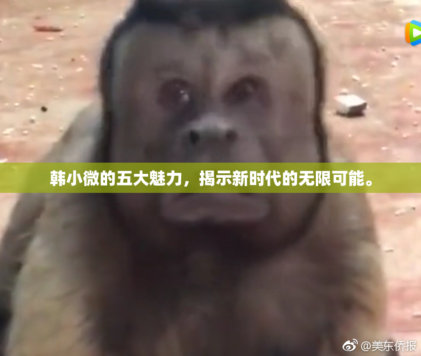 韩小微的五大魅力，揭示新时代的无限可能。