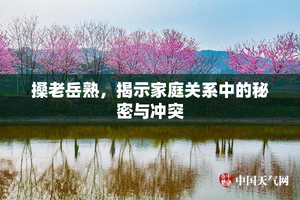 搡老岳熟，揭示家庭关系中的秘密与冲突