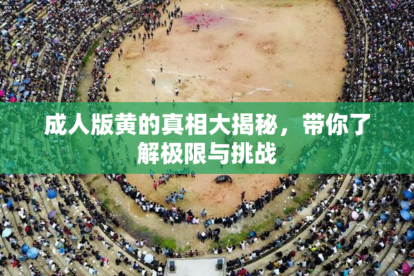 成人版黄的真相大揭秘，带你了解极限与挑战