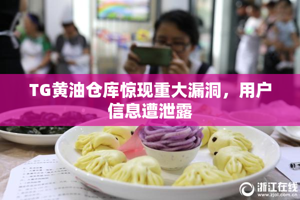 TG黄油仓库惊现重大漏洞，用户信息遭泄露