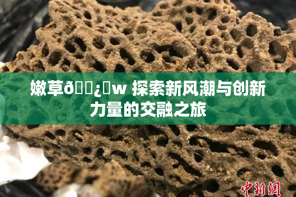 嫩草🌿‌w 探索新风潮与创新力量的交融之旅