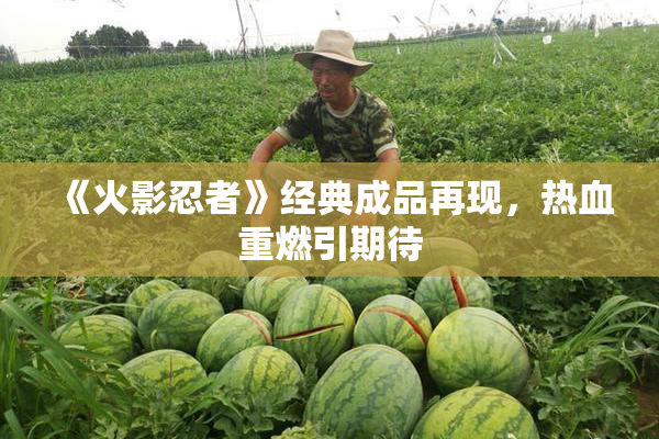《火影忍者》经典成品再现，热血重燃引期待