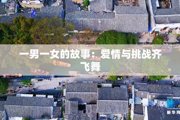 一男一女的故事：爱情与挑战齐飞舞