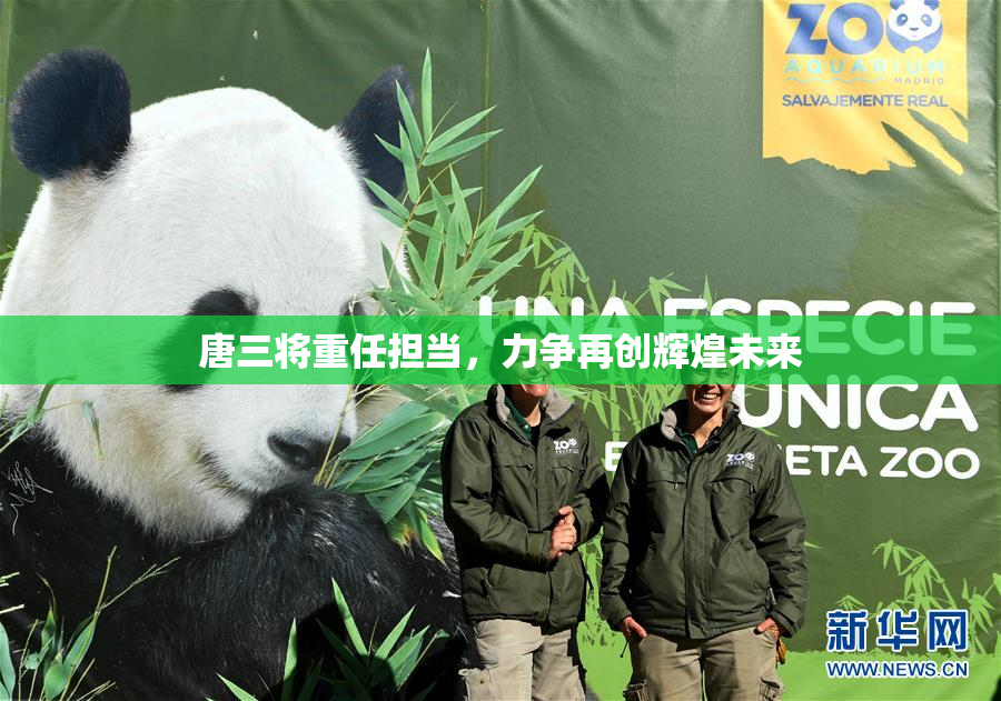 唐三将重任担当，力争再创辉煌未来