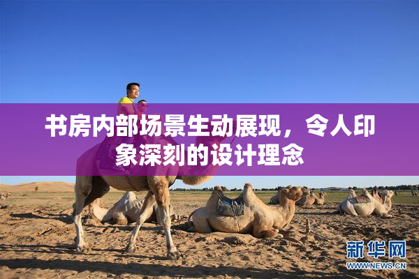 书房内部场景生动展现，令人印象深刻的设计理念