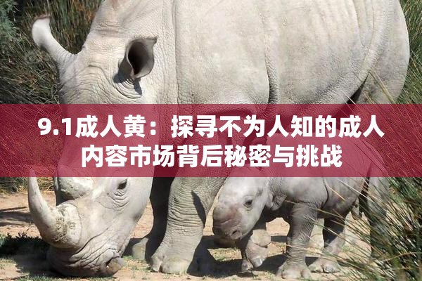 9.1成人黄：探寻不为人知的成人内容市场背后秘密与挑战