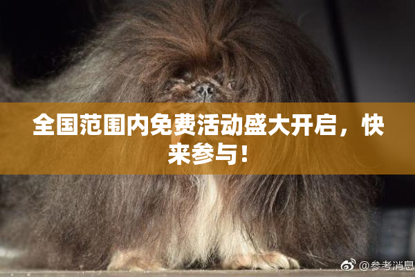 全国范围内免费活动盛大开启，快来参与！
