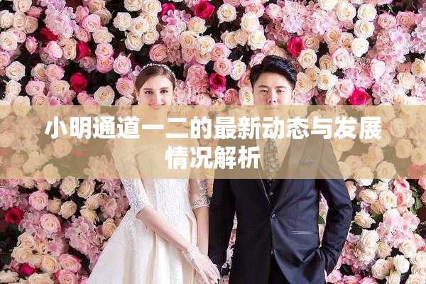 小明通道一二的最新动态与发展情况解析