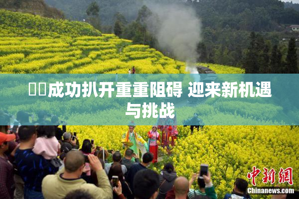 妺妺成功扒开重重阻碍 迎来新机遇与挑战