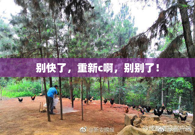 别快了，重新c啊，别别了！