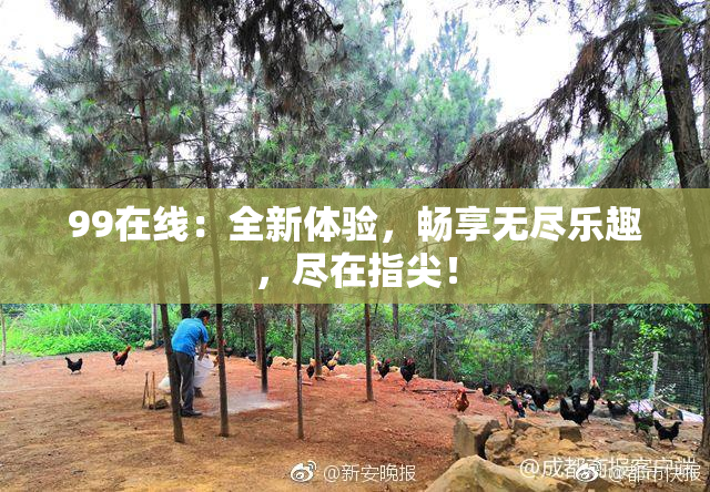 99在线：全新体验，畅享无尽乐趣，尽在指尖！