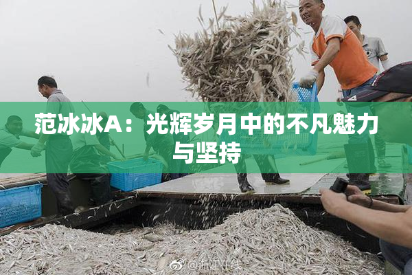 范冰冰A：光辉岁月中的不凡魅力与坚持
