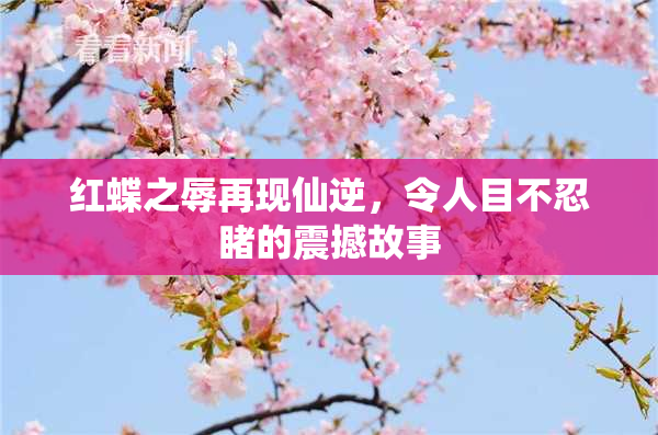 红蝶之辱再现仙逆，令人目不忍睹的震撼故事