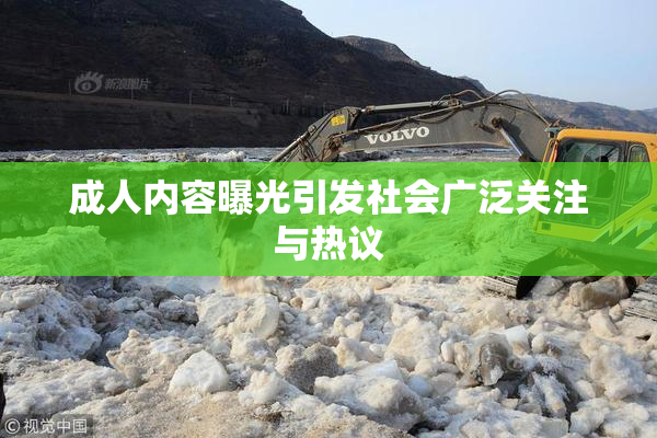 成人内容曝光引发社会广泛关注与热议