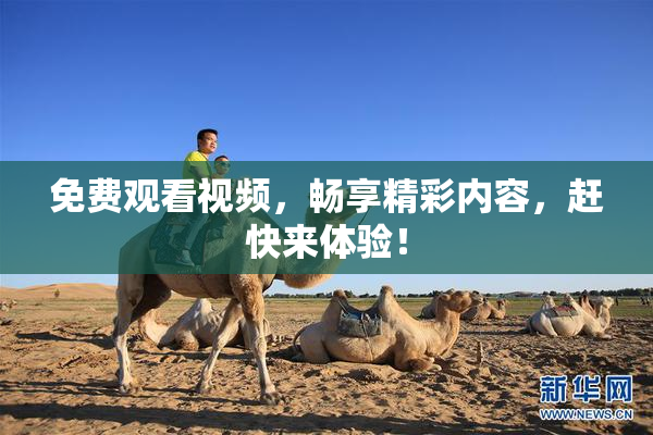 免费观看视频，畅享精彩内容，赶快来体验！