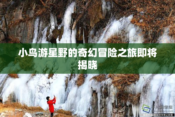 小鸟游星野的奇幻冒险之旅即将揭晓