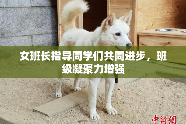 女班长指导同学们共同进步，班级凝聚力增强