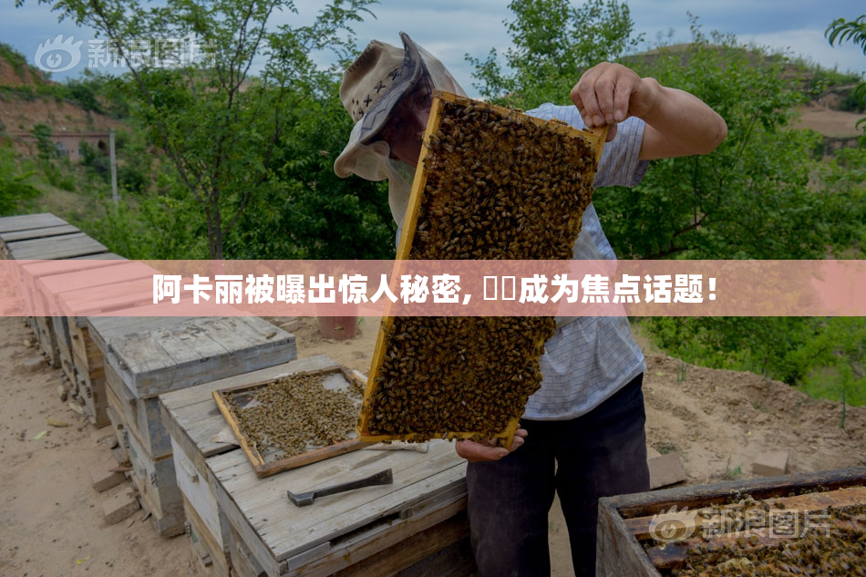 阿卡丽被曝出惊人秘密, ❌‌成为焦点话题！