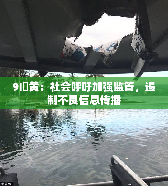 9I婬黄：社会呼吁加强监管，遏制不良信息传播