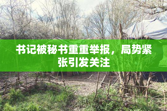 书记被秘书重重举报，局势紧张引发关注