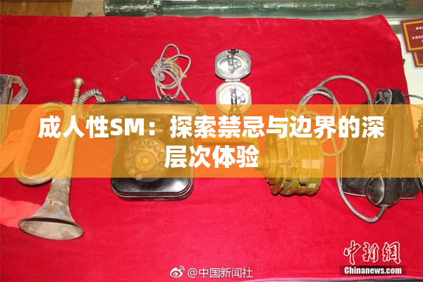 成人性SM：探索禁忌与边界的深层次体验
