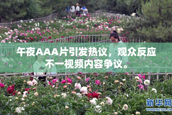 午夜AAA片引发热议，观众反应不一视频内容争议。