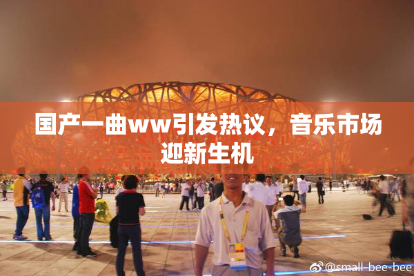 国产一曲ww引发热议，音乐市场迎新生机